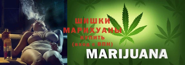 ГАЛЛЮЦИНОГЕННЫЕ ГРИБЫ Слюдянка