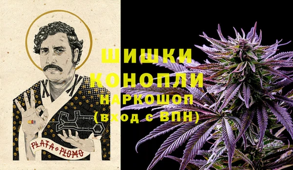 ГАЛЛЮЦИНОГЕННЫЕ ГРИБЫ Слюдянка