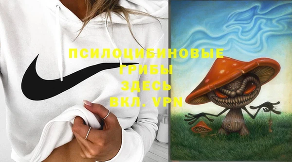 ГАЛЛЮЦИНОГЕННЫЕ ГРИБЫ Слюдянка