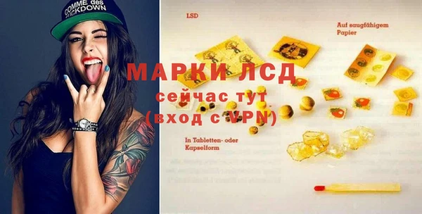 ГАЛЛЮЦИНОГЕННЫЕ ГРИБЫ Слюдянка