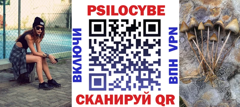 Галлюциногенные грибы Psilocybine cubensis  Благодарный 