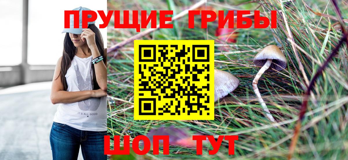 Псилоцибиновые грибы Psilocybe  Вход с VPN  Псилоцибиновые грибы GOLDEN TEACHER  Благодарный 