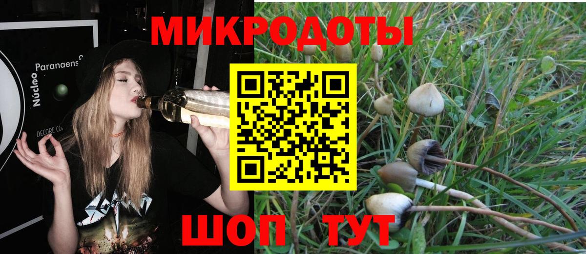 Галлюциногенные грибы Psilocybine cubensis Благодарный