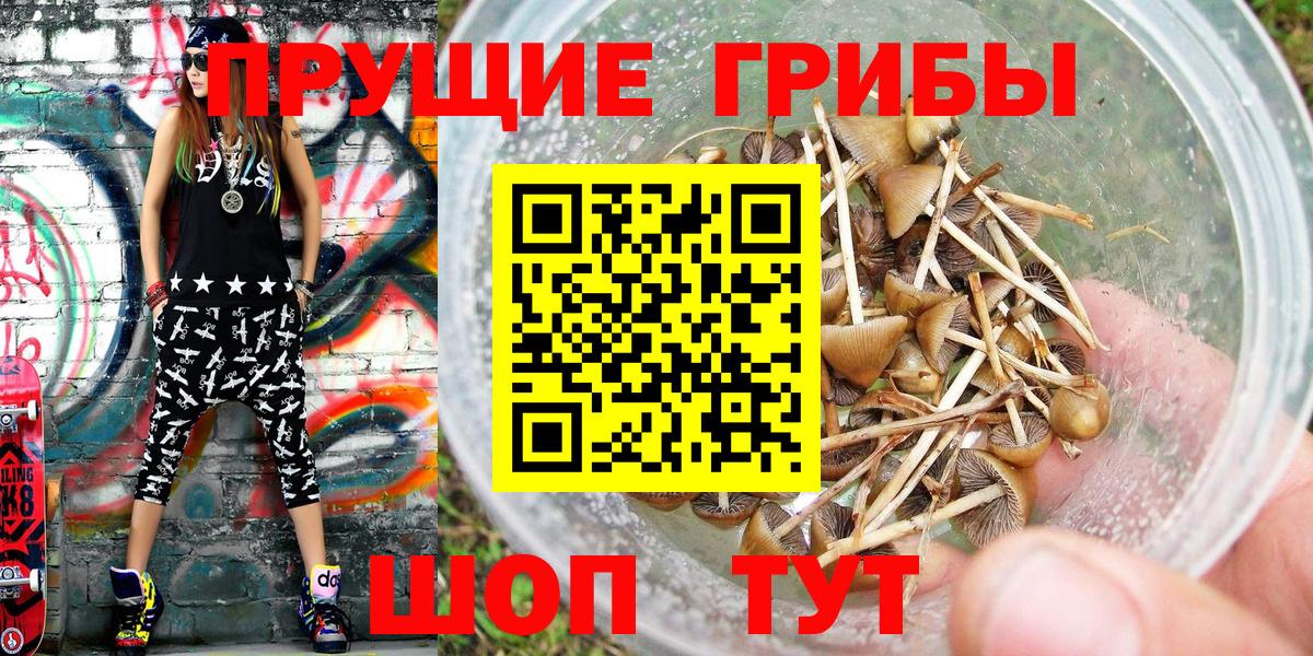 Псилоцибиновые грибы прущие грибы Благодарный